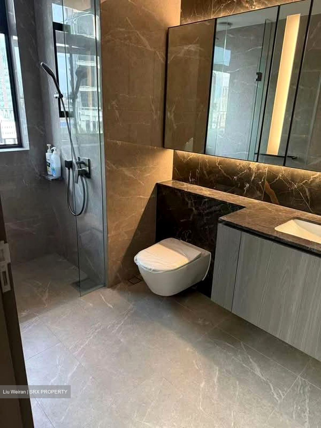 Piccadilly Grand (D8), Apartment #574766681
